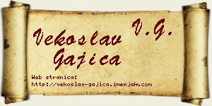 Vekoslav Gajica vizit kartica